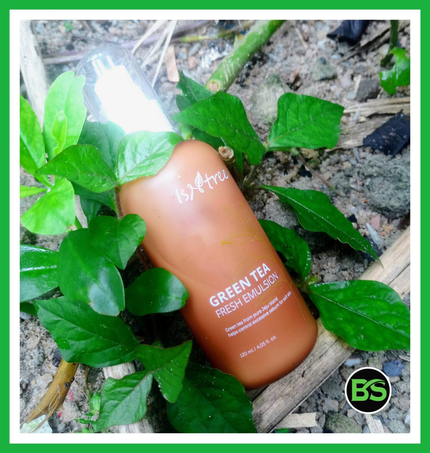 An Honest Review On Isntree Green Tea Fresh Emulsion - BeautySparkReview